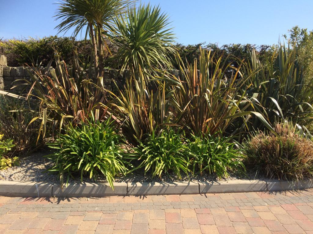 Bearlough Self Catering Holiday Home Rosslare Harbour Εξωτερικό φωτογραφία